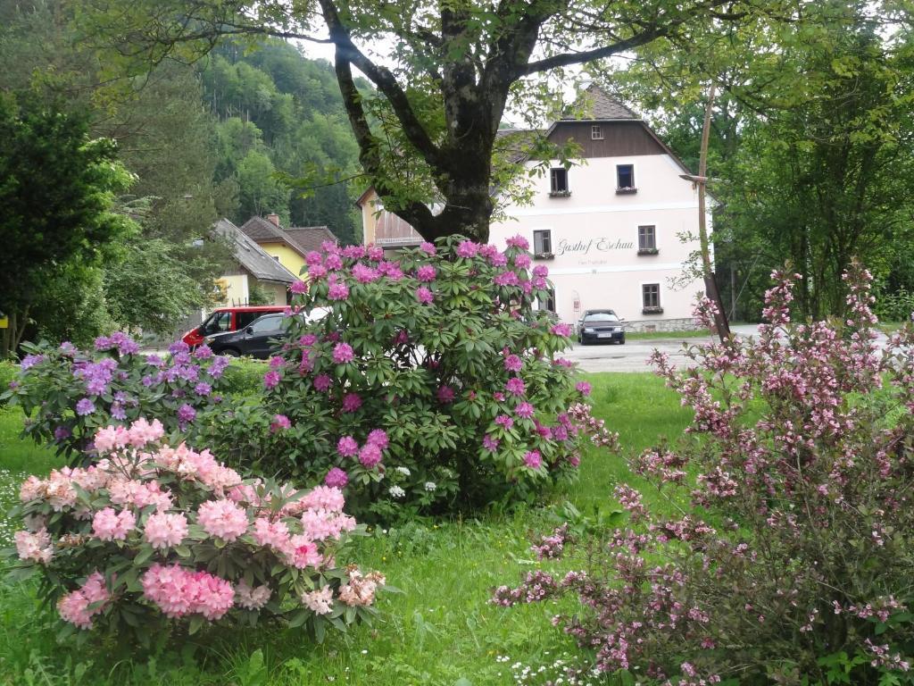 Gasthof Eschau Пальфау Экстерьер фото